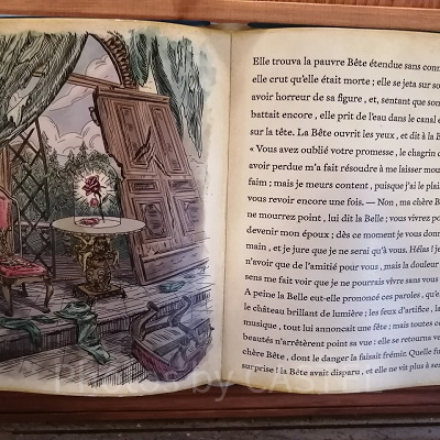 ラ・ベル・リブレリーの内装