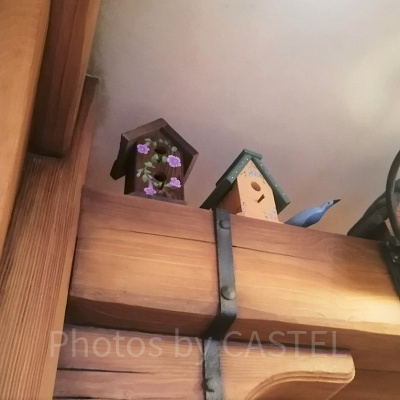 リトルタウントレーダーの内装