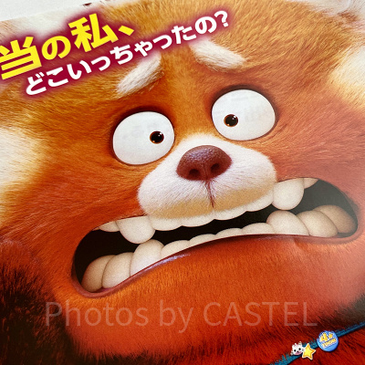 『私ときどきレッサーパンダ』の主題歌をご紹介！