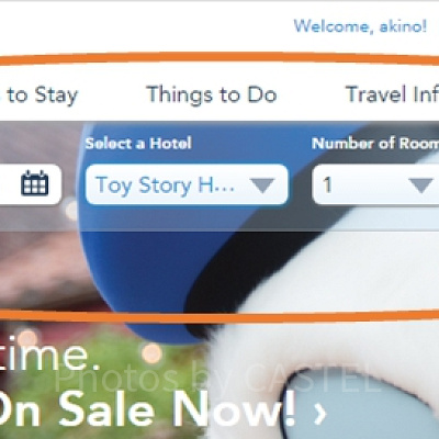 上海ディズニー公式のトップページからチケットと同じ要領です