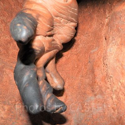 人の手です。指先のツメ、てのひらのシワなどがはっきりと分かりますよね。