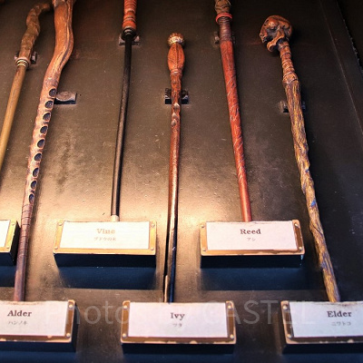 ハリーポッターグッズ/ツタ（9/30～10/27）