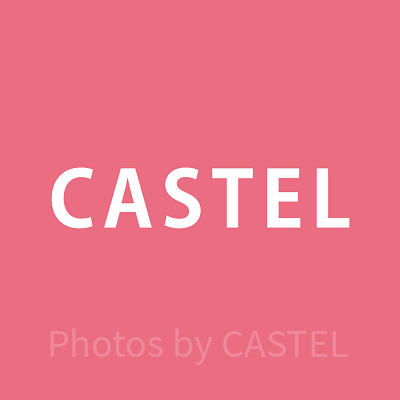 国内最大級のテーマパークメディア