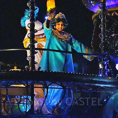 長袖の衣装を着たジャスミン