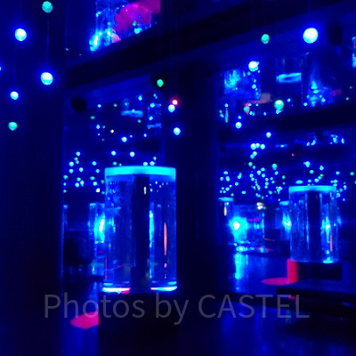 ジェリーフィッシュランブル