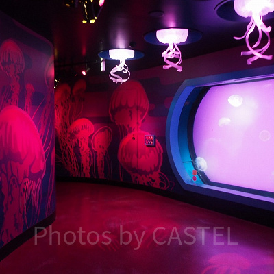 「クラゲの海」