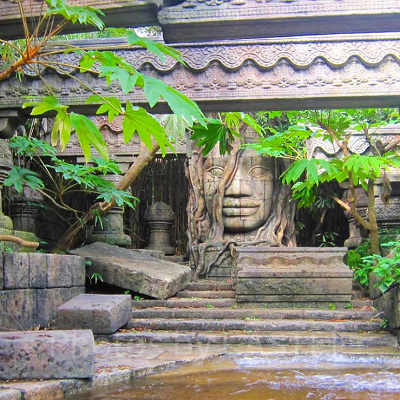 ジャングルクルーズ