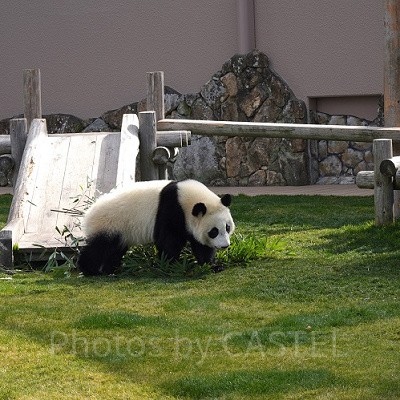 運動場で元気に遊ぶ楓浜