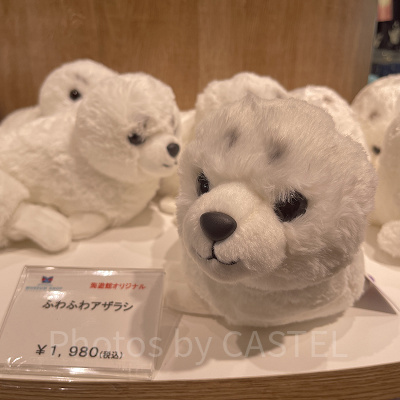 海遊館/ふわふわアザラシ