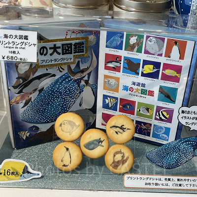 海遊館/海の大図鑑プリントラングドシャ