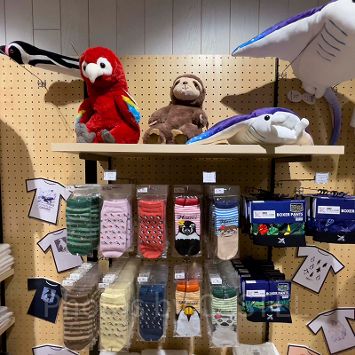 かりゆし水族館のソックス