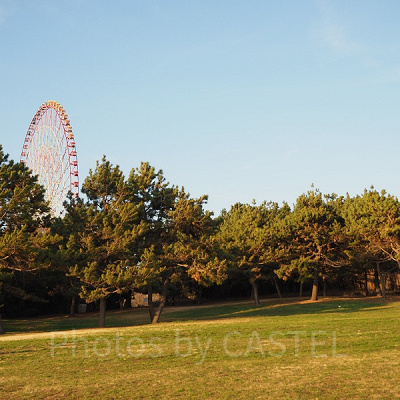 自然豊かな葛西臨海公園