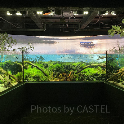 川崎水族館