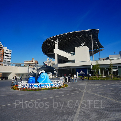 神戸須磨シーワールドのシャチショー：公演スケジュール