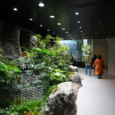 神戸須磨シーワールド：アクアライブ