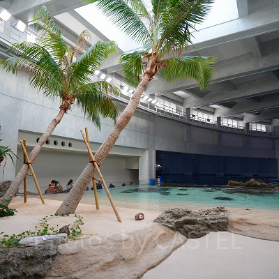 神戸須磨シーワールド：アクアライブ