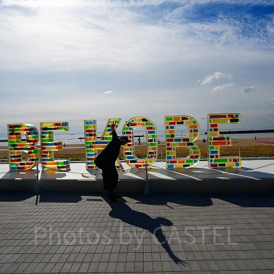 神戸須磨シーワールドの割引チケット：神戸街めぐり1dayクーポン