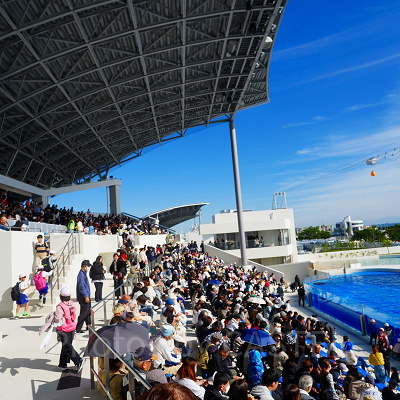 神戸須磨シーワールドのイルカショー：スケジュール