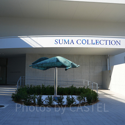 神戸須磨シーワールド：無料で入れる小水槽エリア須磨コレクション