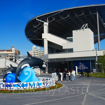 神戸須磨シーワールド：オルカスタディアム