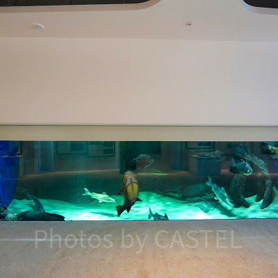 神戸須磨シーワールド：須磨コレクション