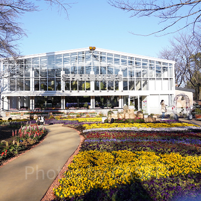 光を取り入れる大きな温室