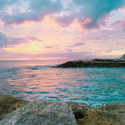 アトラクションではハワイ語が学べる