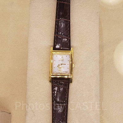 皮ベルトのソーラーウォッチ