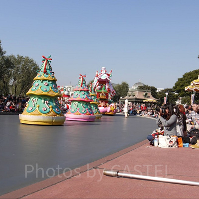 観賞時のルールをチェックしよう