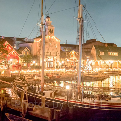 ケープコッドでおいしい限定メニューを食べよう♪