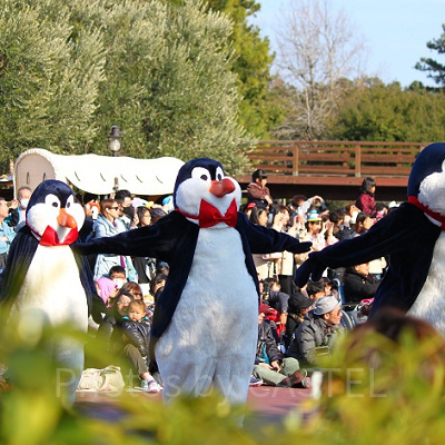 ディズニーへは履きなれたクツで行こう