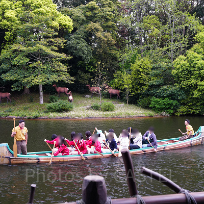 みんなで力を合わせて冒険へ出よう