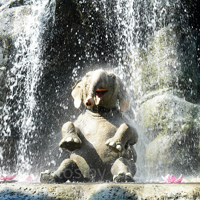 ジャングルクルーズについて知ろう