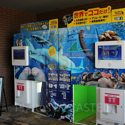 シーパラオリジナルのプリクラで思い出を残そう