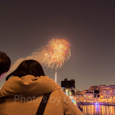 穴場は？ディズニーランド＆シーのハピネスオンハイ観賞場所