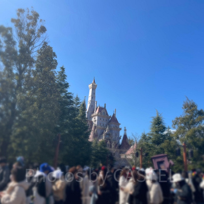 ディズニーランド混雑状況の現地レポート：美女と野獣エリアはNO１大混雑エリア