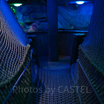 ロープアスレチックから海藻の迷路を見下ろした所