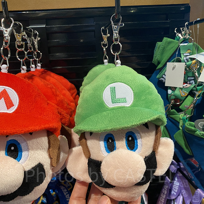 ルイージのパスケース