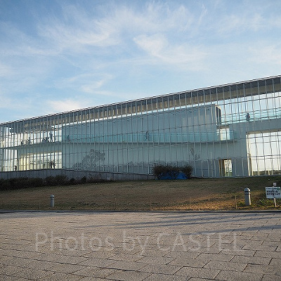 葛西臨海水族園のランチ
