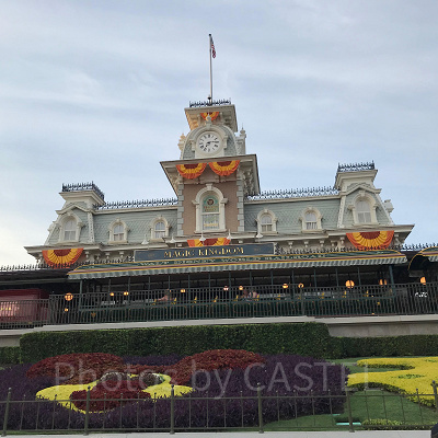 昼のマジックキングダム