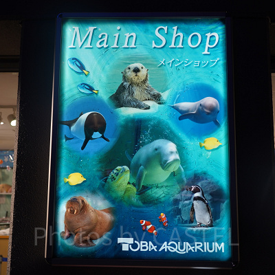 鳥羽水族館のお土産ショップ：メインショップ