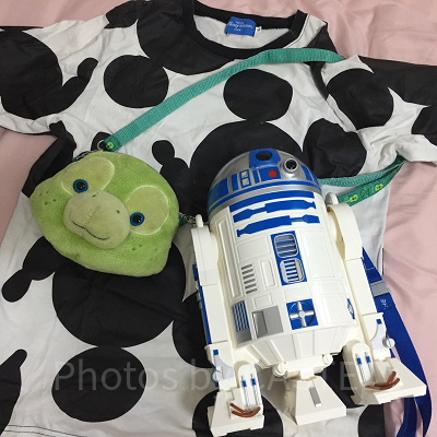 自宅をディズニーに！