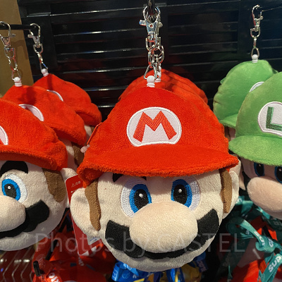 マリオのパスケース