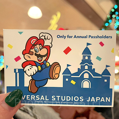 マリオの年パスケース