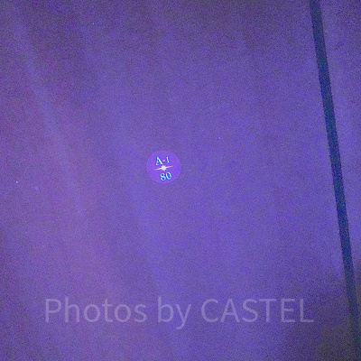 エレクトリカルパレードの鑑賞位置の印