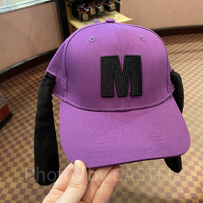 マックスファンキャップ