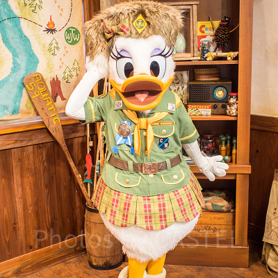 ドナルドとデイジーに会える！