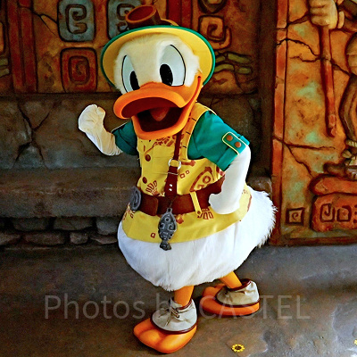 ミッキー＆フレンズ・グリーティングトレイルで会えるドナルド