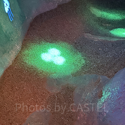 マーメイドラグーン隠れミッキー：アリエルのプレイグラウンド