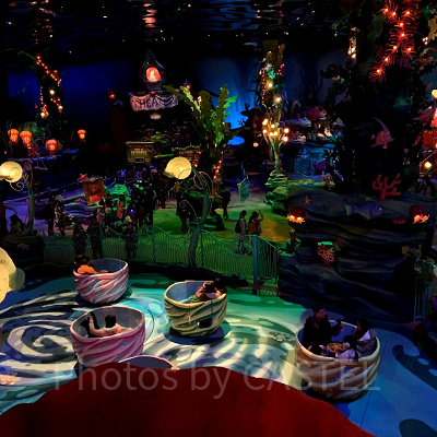 子供と楽しむマーメイドラグーン